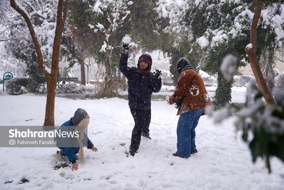 گزارش تصویری | بارش زیبای برف در مشهد