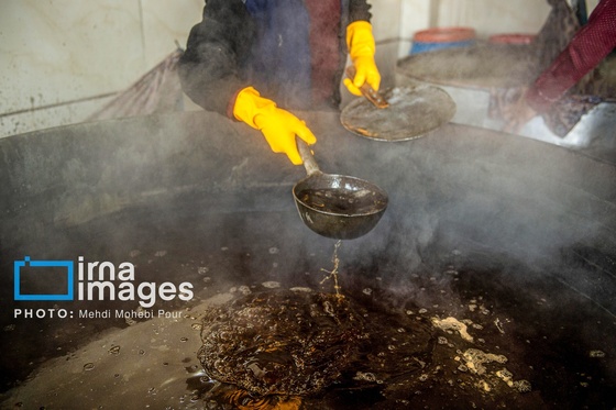 گزارش تصویری | برداشت نیشکر از زمین های استان مازندران