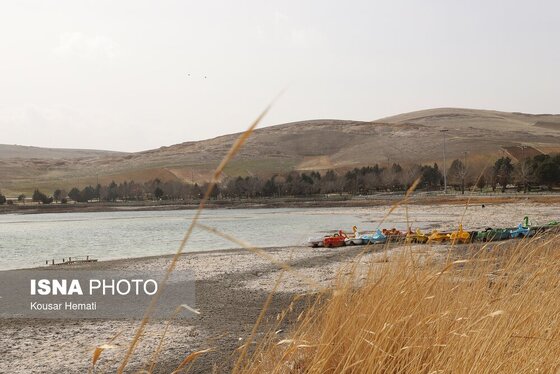 گزارش تصویری | کم آبی «سراب نیلوفر» همچنان ادامه دارد