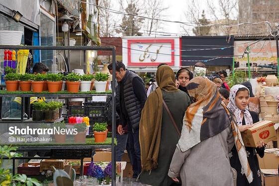 گزارش تصویری | حال‌وهوای بازار گل و گیاه مشهد در آستانه نوروز ۱۴۰۵