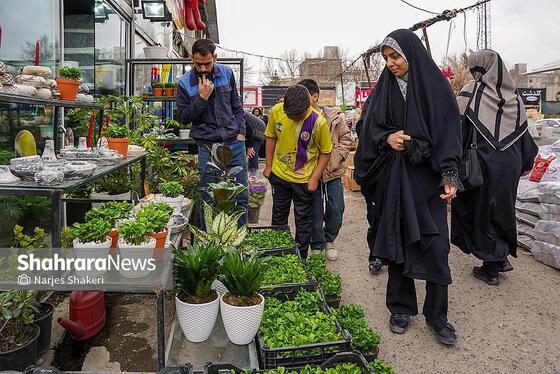 گزارش تصویری | حال‌وهوای بازار گل و گیاه مشهد در آستانه نوروز ۱۴۰۵