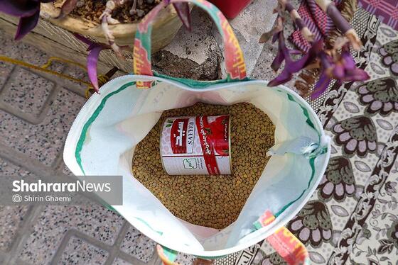 گزارش تصویری | بانوان مشهدی برای مردم حاضر در خیابان ها غذای نذری می پزند