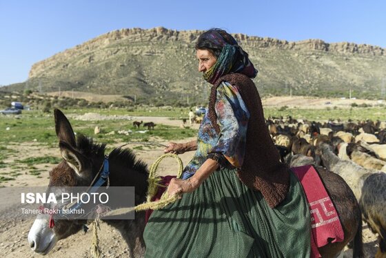 ایران زیباست | کوچ بهاری عشایر استان فارس