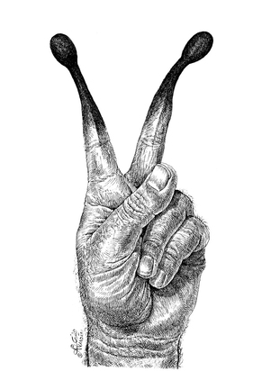 درباره علی دیواندری، کاریکاتوریست خراسانی، به بهانه سالروز تولدش