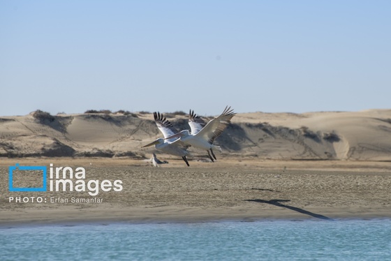 گزارش تصویری | سیستان و بلوچستان سرزمین باد و دریا
