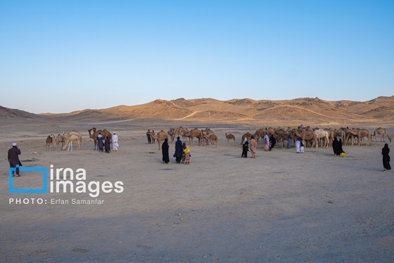 گزارش تصویری | سیستان و بلوچستان سرزمین باد و دریا
