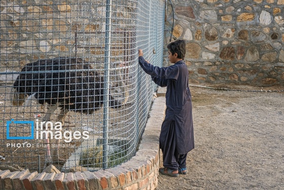 گزارش تصویری | سیستان و بلوچستان سرزمین باد و دریا