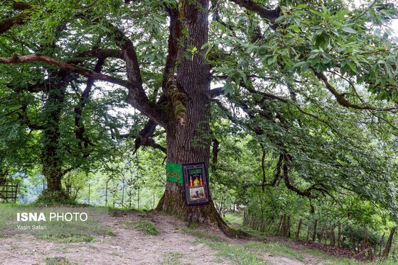 گزارش تصویری | ایران؛ محرم ۱۴۴۸