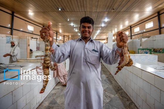 گزارش تصویری | «چابهار» شهر چهار بهار