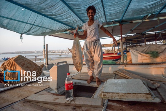 گزارش تصویری | «چابهار» شهر چهار بهار
