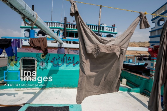 گزارش تصویری | «چابهار» شهر چهار بهار