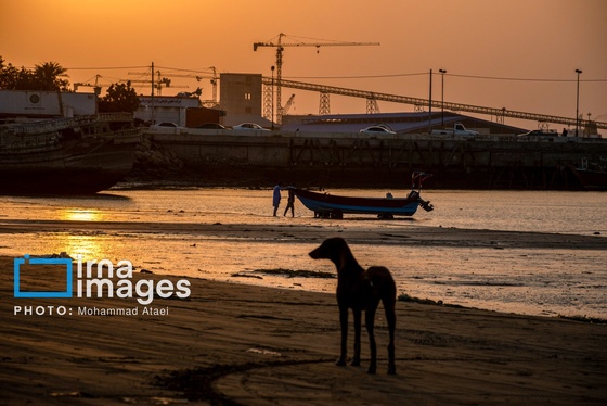 گزارش تصویری | «چابهار» شهر چهار بهار