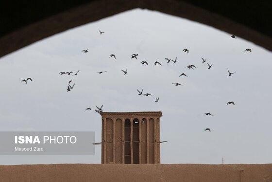 گزارش تصویری | بادگیر؛ نبوغ ایرانی، شاهکار معماری و سیستم خنک کننده هوای کویر