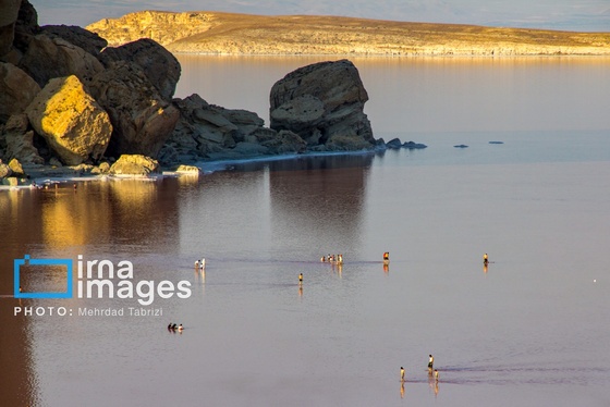 گزارش تصویری | بازگشت گردشگران به دریاچه ارومیه