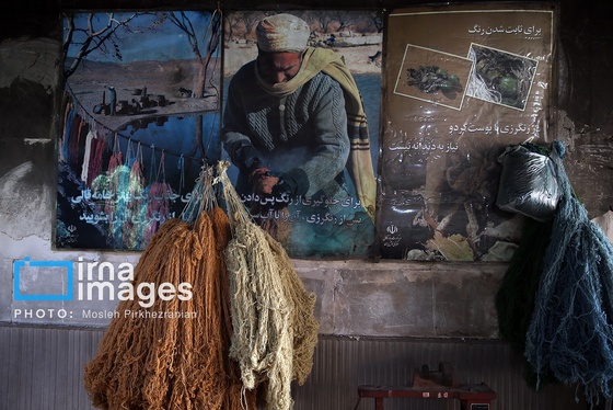 گزارش تصویری | آخرین بازمانده رنگرزی گیاهی در کردستان