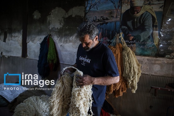 گزارش تصویری | آخرین بازمانده رنگرزی گیاهی در کردستان