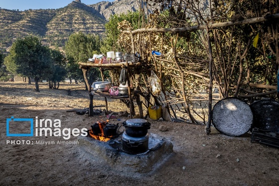 گزارش تصویری | فصل برداشت محصول عشایر بختیاری
