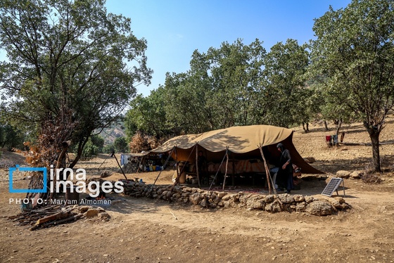 گزارش تصویری | فصل برداشت محصول عشایر بختیاری