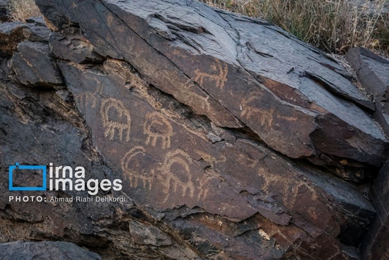 گزارش تصویری |روایت هزاران ساله انسان بر بوم سنگ و آسمان
