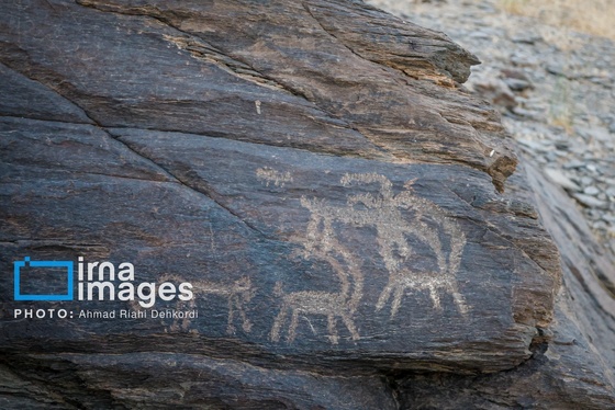 گزارش تصویری |روایت هزاران ساله انسان بر بوم سنگ و آسمان