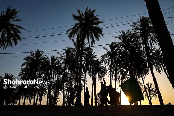 گزارش تصویری | طریق العلما؛ زائران اربعین در مسیر کربلا