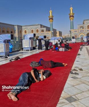 سلام آقای کربلا | روایتی از پیاده‌روی نجف تا کربلا در اربعین حسینی ۱۴۴۸