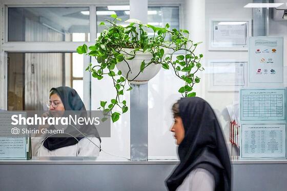 گزارش تصویری |بازدید خبرنگاران از فعالیت‌های جهاد دانشگاهی خراسان رضوی