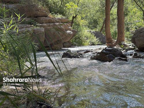گزارش تصویری | طبیعت تابستانی دره شمخال