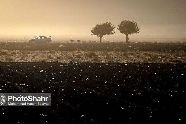 روایتی از یک ‌روز زندگی زعفران‌کاران که این روزها طلای سرخشان خریدار ندارد