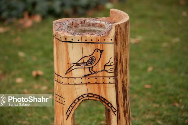 تصاویری زیبا از آشیانه پرندگان در بوستان‌های مشهد