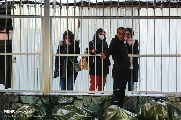 تصاویر تلخ از خانواده‌ جان‌باختگان حادثه سقوط بهمن در ارتفاعات تهران