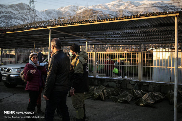 تصاویر تلخ از خانواده‌ جان‌باختگان حادثه سقوط بهمن در ارتفاعات تهران
