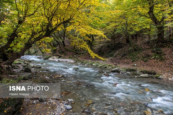 ایران زیباست | پاییز منطقه کوهستانی «فریم صحرا»