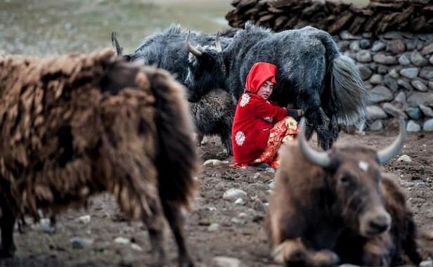 زندگی قرقیزها در بدخشان افغانستان