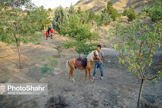 زیست پارک مشهد کجاست؟ + عکس و فیلم