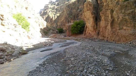 شهروند خبرنگار| طبیعت زیبای روستای آبقد درخراسان رضوی