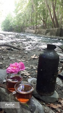 شهروند خبرنگار | خودنمایی پاییز در روستای مایان طرقبه