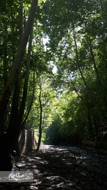 شهروند خبرنگار | خودنمایی پاییز در روستای مایان طرقبه