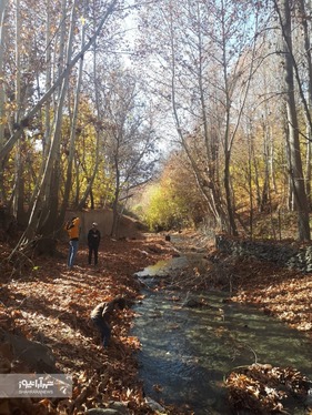 شهروند خبرنگار | خودنمایی پاییز در روستای مایان طرقبه