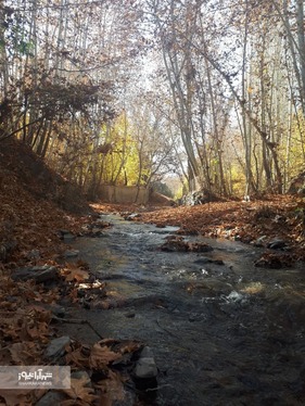 شهروند خبرنگار | خودنمایی پاییز در روستای مایان طرقبه